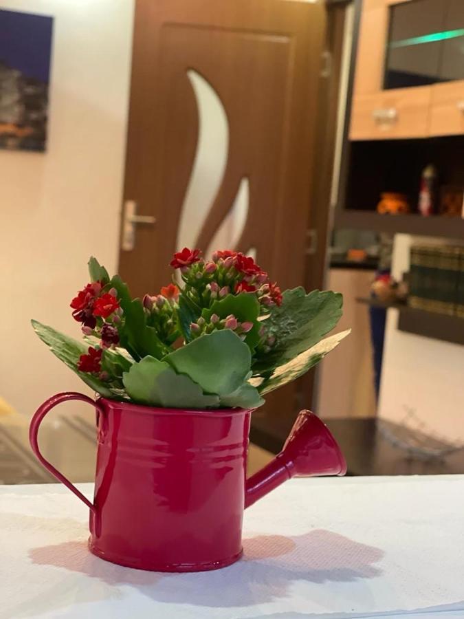 Bucuresti Comfort Apartment 外观 照片